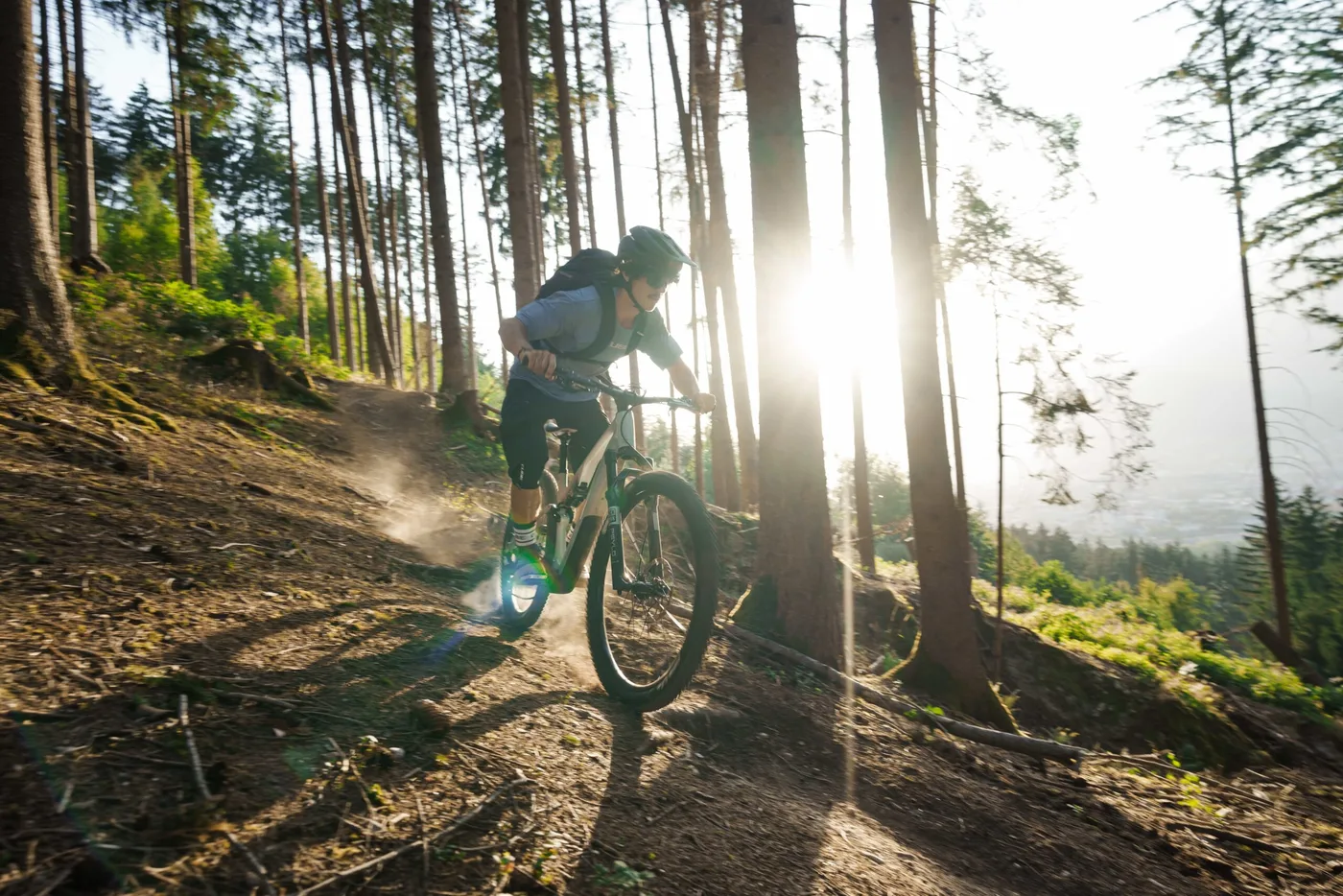 Mountainbiker auf einem Waldtrail im Gegenlicht