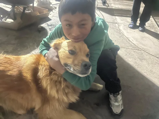 Junge mit dem Hund des Heims